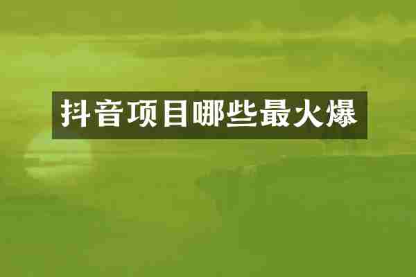 抖音项目哪些最火爆