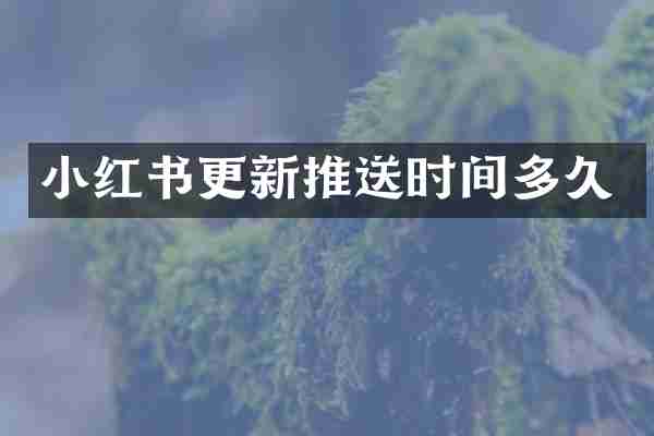 小红书更新推送时间多久