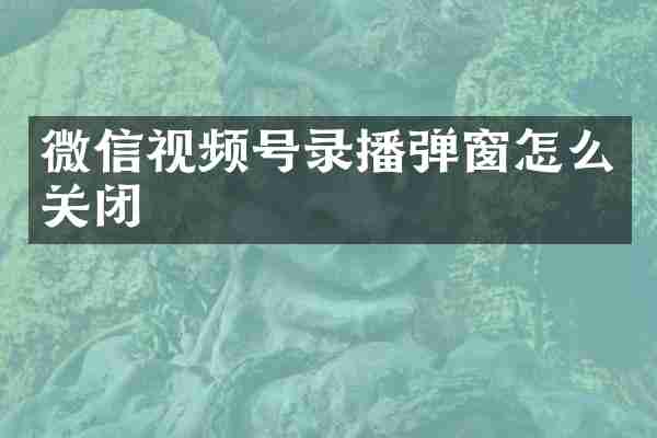 微信视频号录播弹窗怎么关闭