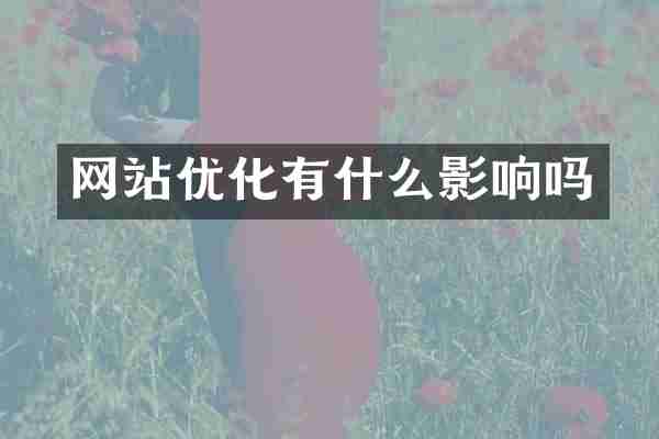 网站优化有什么影响吗