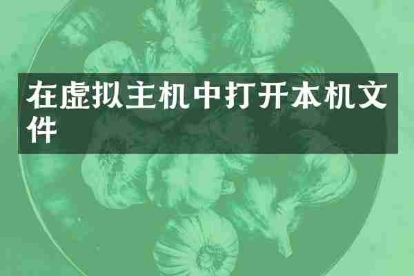 在虚拟主机中打开本机文件