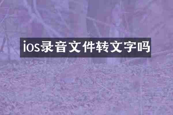 ios录音文件转文字吗
