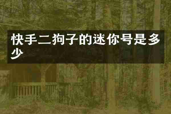 快手二狗子的迷你号是多少