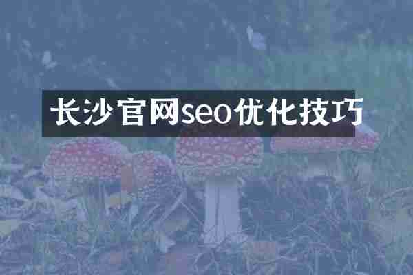 长沙官网seo优化技巧