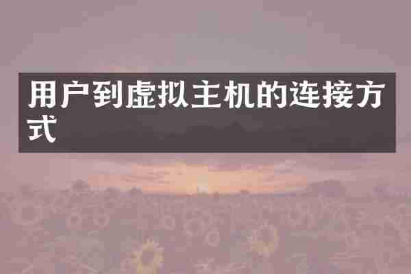 用户到虚拟主机的连接方式