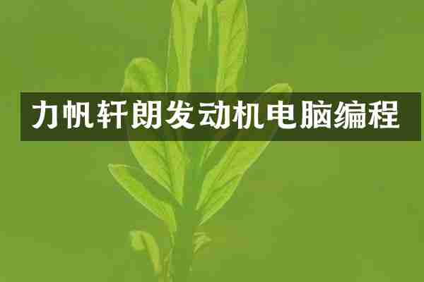 力帆轩朗发动机电脑编程