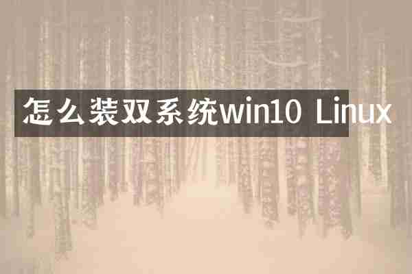 怎么装双系统win10 Linux