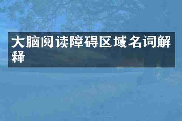 大脑阅读障碍区域名词解释