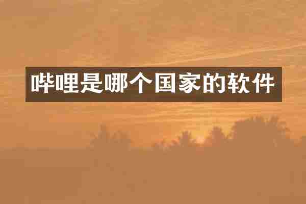 哔哩是哪个国家的软件