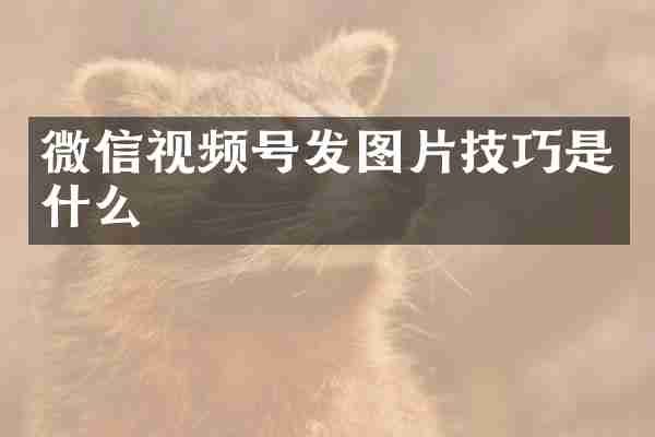 微信视频号发图片技巧是什么