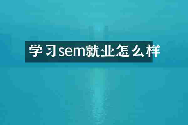 学习sem就业怎么样