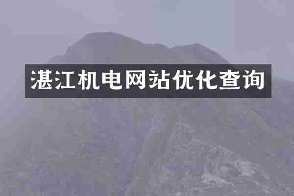 湛江机电网站优化查询
