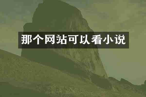 那个网站可以看小说