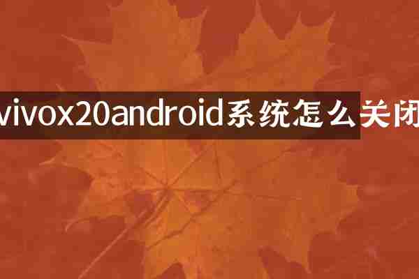 vivox20android系统怎么关闭