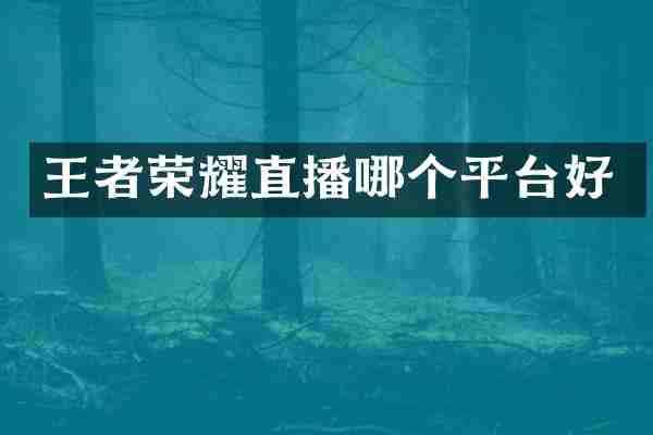 王者荣耀直播哪个平台好