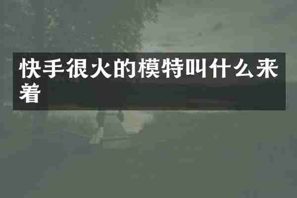 快手很火的模特叫什么来着