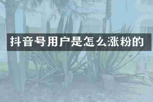 抖音号用户是怎么涨粉的