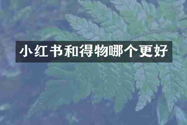 小红书和得物哪个更好