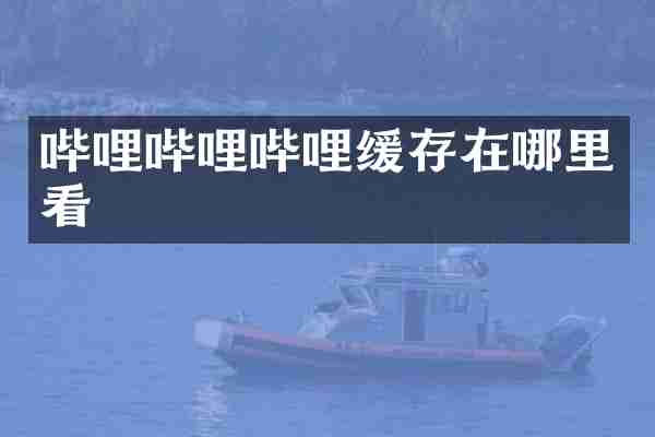 哔哩哔哩哔哩缓存在哪里看