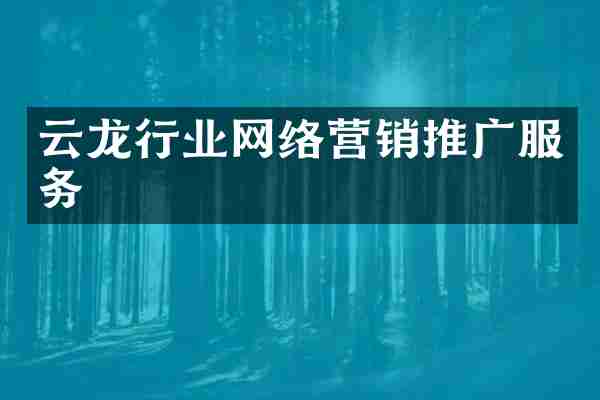 云龙行业网络营销推广服务