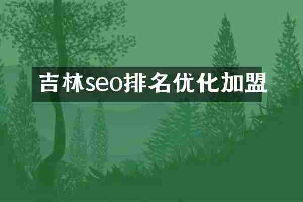 吉林seo排名优化加盟