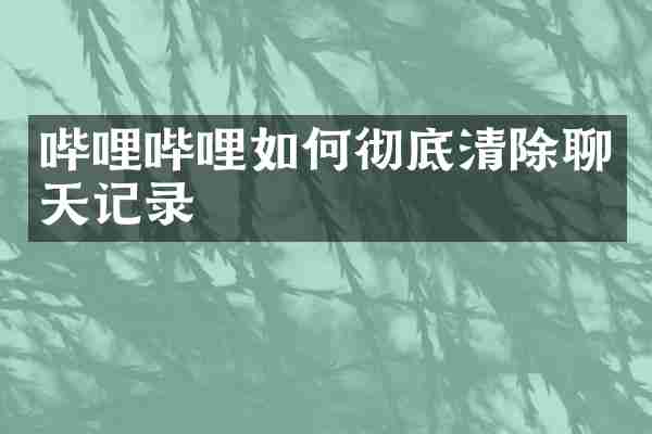哔哩哔哩如何彻底清除聊天记录