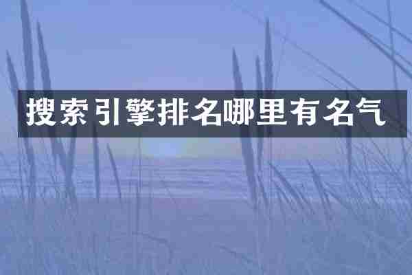 搜索引擎排名哪里有名气