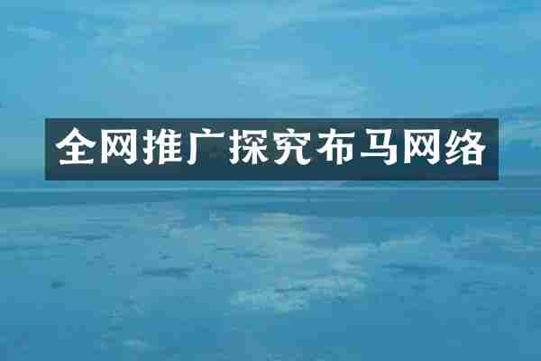 全网推广探究布马网络