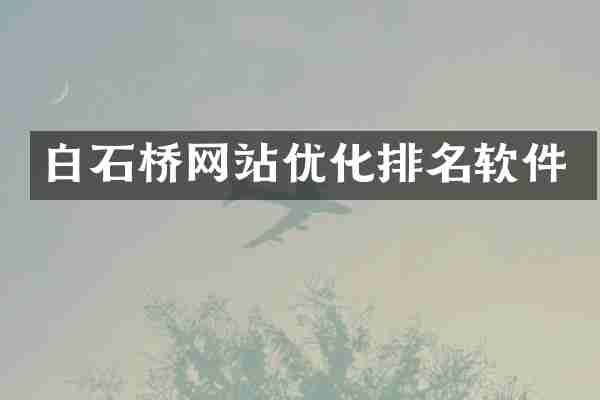 白石桥网站优化排名软件