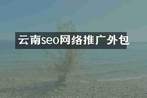 云南seo网络推广外包