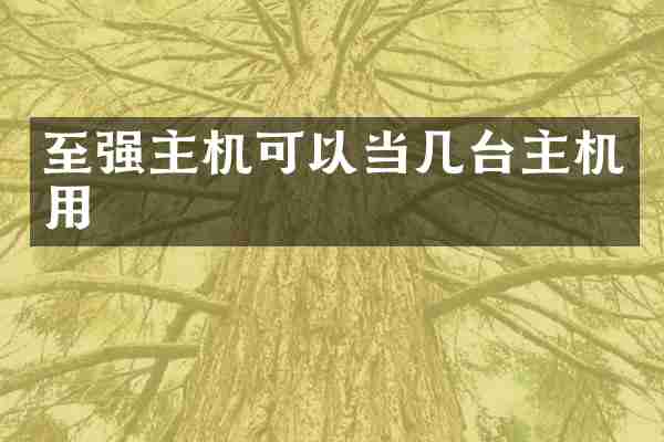 至强主机可以当几台主机用