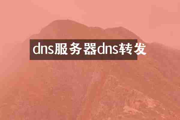 dns服务器dns转发