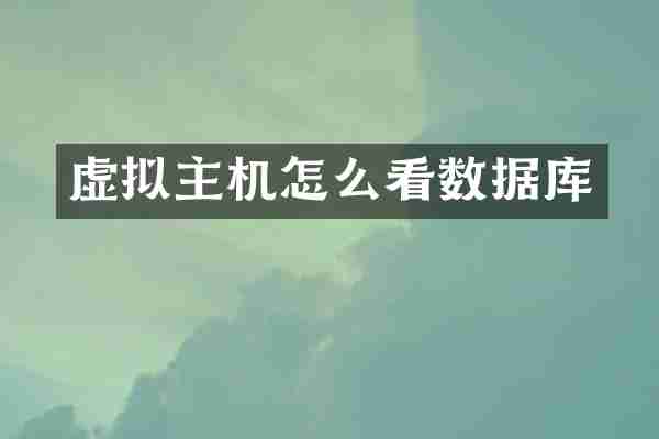 虚拟主机怎么看数据库