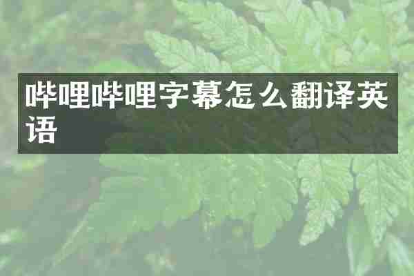 哔哩哔哩字幕怎么翻译英语