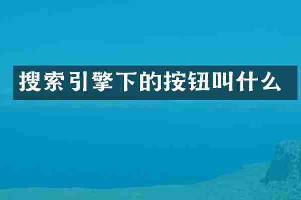 搜索引擎下的按钮叫什么