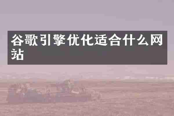 谷歌引擎优化适合什么网站