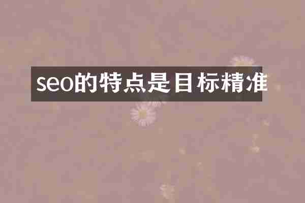 seo的特点是目标精准