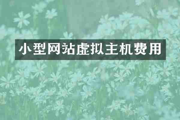 小型网站虚拟主机费用