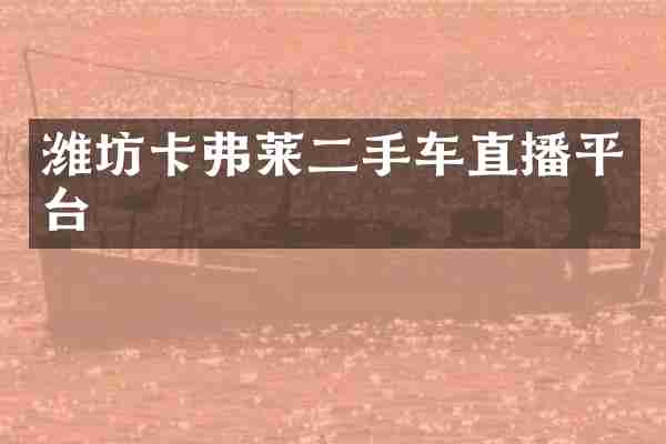 潍坊卡弗莱二手车直播平台