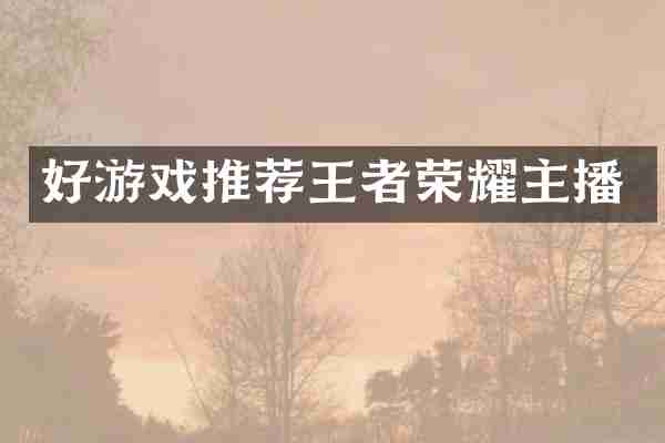 好游戏推荐王者荣耀主播