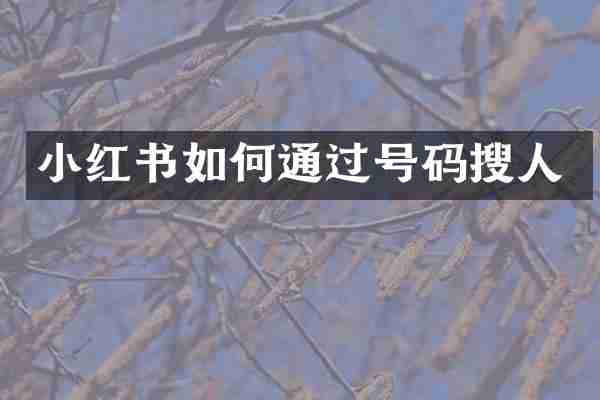 小红书如何通过号码搜人