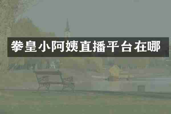 拳皇小阿姨直播平台在哪