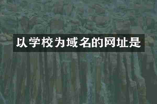 以学校为域名的网址是