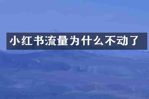 小红书流量为什么不动了