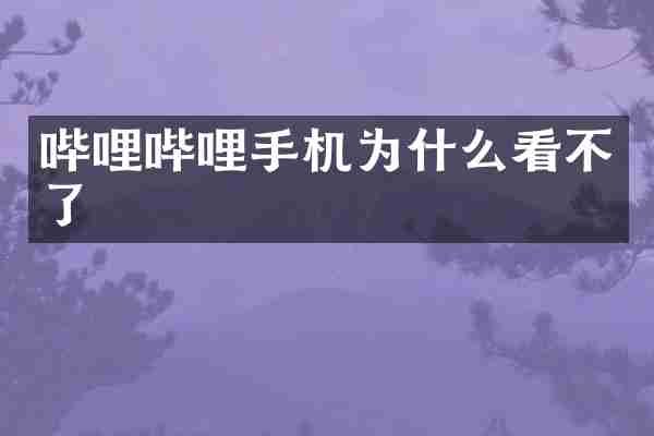 哔哩哔哩手机为什么看不了