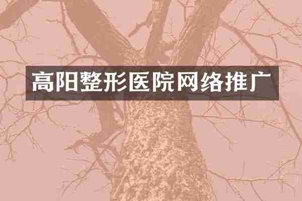 高阳整形医院网络推广