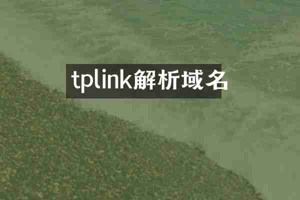 tplink解析域名
