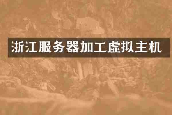 浙江服务器加工虚拟主机