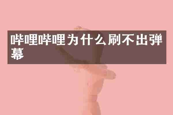 哔哩哔哩为什么刷不出弹幕