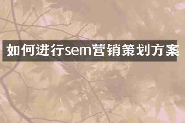 如何进行sem营销策划方案